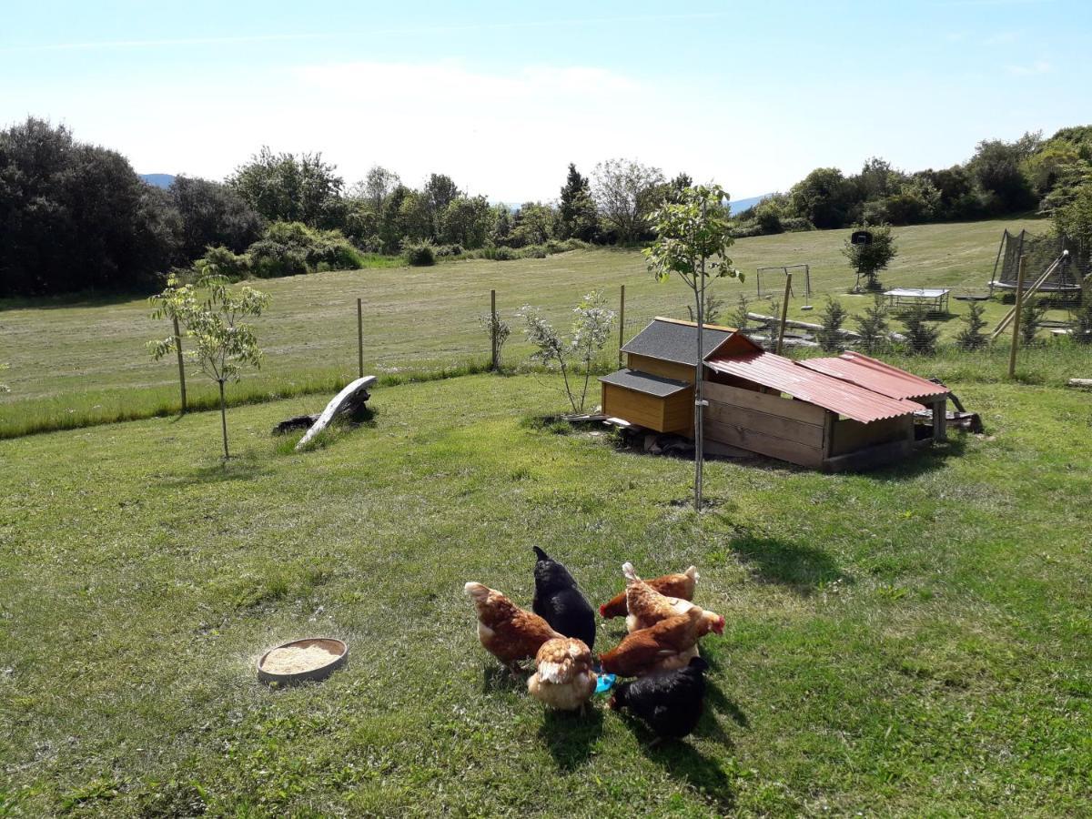 Can Pedragos Sales de Llierca Kültér fotó