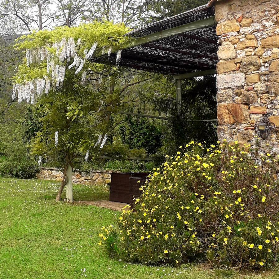 Can Pedragos Sales de Llierca Kültér fotó