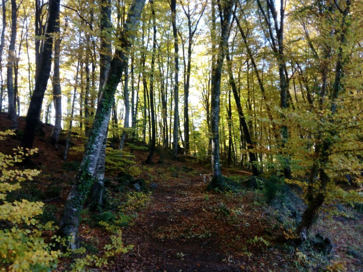 Can Pedragos Sales de Llierca Kültér fotó